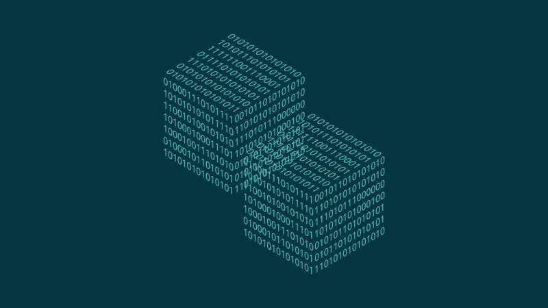 武鸣县信创改造:网络应用开发流程标准化的核心路径与实践
